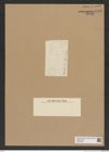 Diatomeae indet. Zeichnungen Sammlung Grunow Nr. 6836 (NHMW-BOT-W0375689)